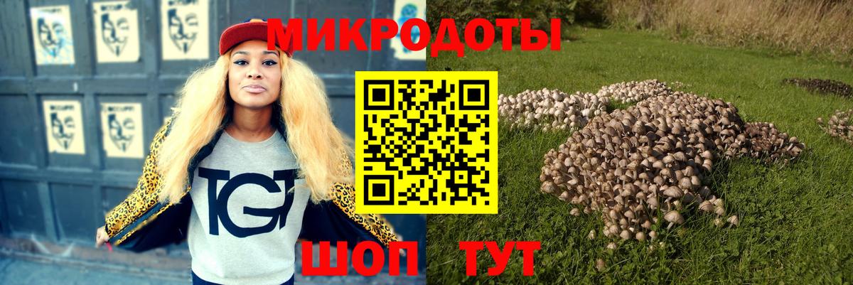 Вязьма  Галлюциногенные грибы ЛСД  Вход с VPN 