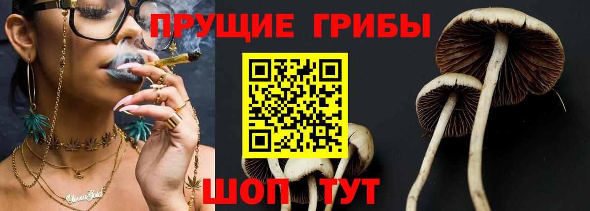 Галлюциногенные грибы прущие грибы Вязьма